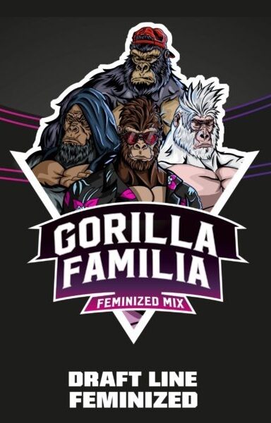 Família Gorilla – Fot.Feminizada – BSF