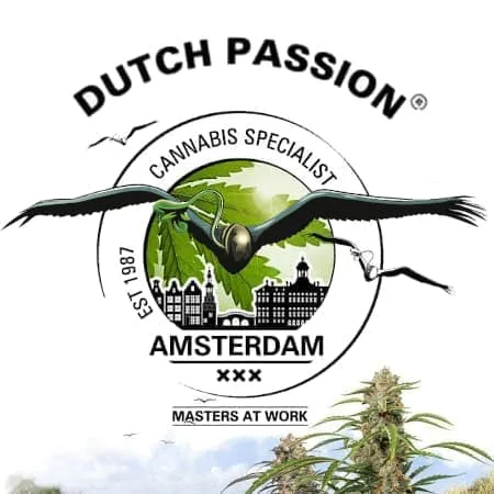 dutchpassion 3