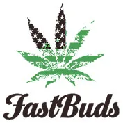 fastbuds 4