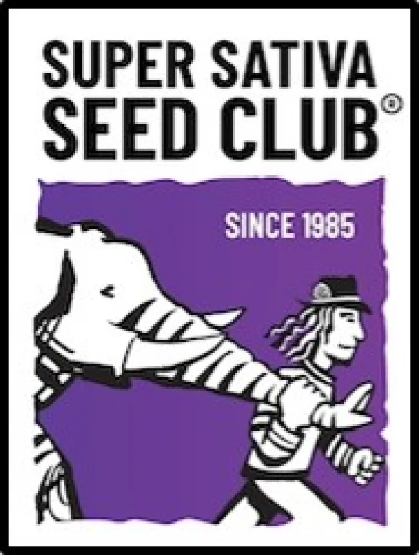 supersativa 2